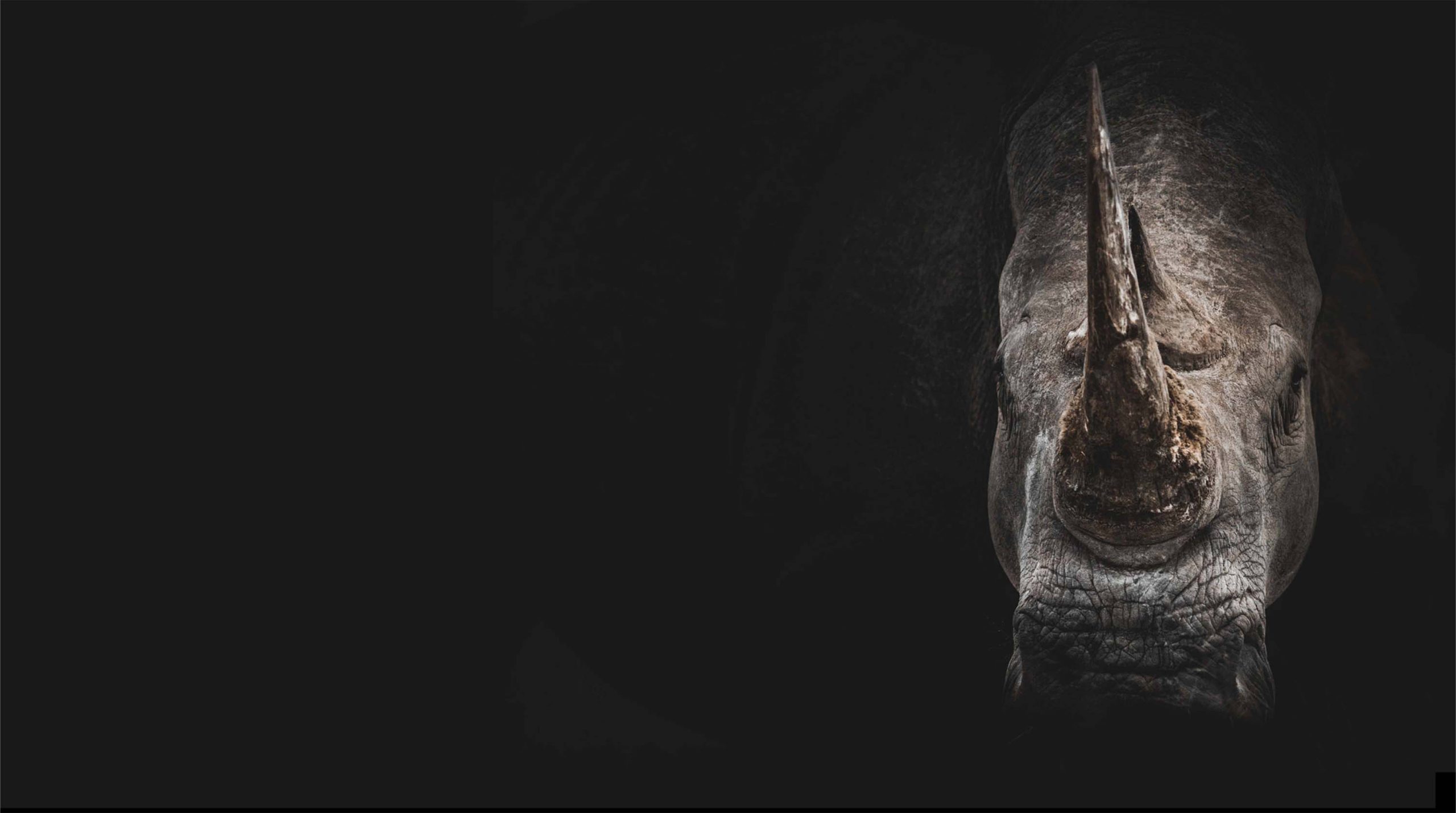 about-background